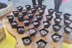 Danima kestena i vina završen ciklus jesenskih orahovačkih manifestacija 8 IMG 20221016 154349 scaled 1