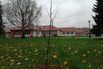 IMG 20221123 105451