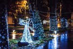 advent vtc druga svijeca 60