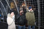 slatina dvent 28
