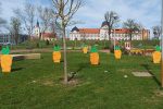 Fotogalerija: Virovitica obukla uskrsno ruho - Grad vrvi brojnim detaljima idealnima za stvaranje uspomena 9 337260374 912333326761441 4376386264787512655 n