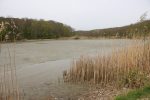 IMG 9354
