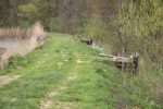 IMG 9444