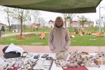 Uskrsni sajam i Velika potraga za pisanicama Viroviticu uvela u predblagdansko raspoloženje 4 uskrsni sajam vtc 5