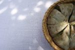 Žuta naljepnica stanuje u Otrovancu - Gault&Millau uvrstio je Zlatni klas u u prestižnu selekciju najboljih restorana Hrvatske 1 279930943 5169021663137202 5147703074889198950 n