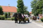 IMG 1685