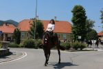 IMG 1689