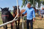 Fotogalerija: Povodom obilježavanja Dana općine Čađavica i blagdana Petrova, održana je 16. Međužupanijska izložba hladnokrvnih konja i revija zaprega 21 357364592 814852786648388 606922708385162168 n