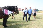 Fotogalerija: Povodom obilježavanja Dana općine Čađavica i blagdana Petrova, održana je 16. Međužupanijska izložba hladnokrvnih konja i revija zaprega 36 IMG 5835
