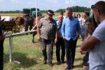 Fotogalerija: Povodom obilježavanja Dana općine Čađavica i blagdana Petrova, održana je 16. Međužupanijska izložba hladnokrvnih konja i revija zaprega 35 IMG 5836