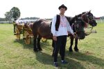 Fotogalerija: Povodom obilježavanja Dana općine Čađavica i blagdana Petrova, održana je 16. Međužupanijska izložba hladnokrvnih konja i revija zaprega 14 IMG 5854