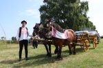 Fotogalerija: Povodom obilježavanja Dana općine Čađavica i blagdana Petrova, održana je 16. Međužupanijska izložba hladnokrvnih konja i revija zaprega 13 IMG 5855