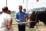 Fotogalerija: Povodom obilježavanja Dana općine Čađavica i blagdana Petrova, održana je 16. Međužupanijska izložba hladnokrvnih konja i revija zaprega 6 IMG 5890