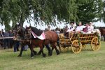 Fotogalerija: Povodom obilježavanja Dana općine Čađavica i blagdana Petrova, održana je 16. Međužupanijska izložba hladnokrvnih konja i revija zaprega 2 IMG 5911
