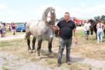 Fotogalerija: Povodom obilježavanja Dana općine Čađavica i blagdana Petrova, održana je 16. Međužupanijska izložba hladnokrvnih konja i revija zaprega 27 IMG 6001