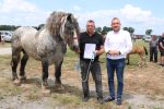 Fotogalerija: Povodom obilježavanja Dana općine Čađavica i blagdana Petrova, održana je 16. Međužupanijska izložba hladnokrvnih konja i revija zaprega 26 IMG 6002