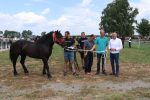 Fotogalerija: Povodom obilježavanja Dana općine Čađavica i blagdana Petrova, održana je 16. Međužupanijska izložba hladnokrvnih konja i revija zaprega 24 IMG 6010
