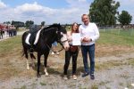 Fotogalerija: Povodom obilježavanja Dana općine Čađavica i blagdana Petrova, održana je 16. Međužupanijska izložba hladnokrvnih konja i revija zaprega 23 IMG 6024