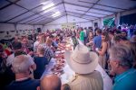 Održan 8. sajam vina i kulena: Najbolje vino je sauvignon Martin Albus, vrhunski kulen ima OPG-a Novosel iz Gata, a Vinska kraljica je Natalija Ivezić 27 k0Pb2Ly1RK2Eh95TRqptEA