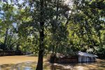Drava odsjekla Križnicu od kopna: Do pješačkog mosta može se samo čamcem i traktorom, a vrhunac vodenog vala očekuje se s utorka na srijedu 41 20230808 084715