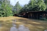 Drava odsjekla Križnicu od kopna: Do pješačkog mosta može se samo čamcem i traktorom, a vrhunac vodenog vala očekuje se s utorka na srijedu 21 20230808 0952090