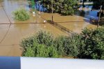 Drava se izlila kod Dravskog mosta, Izletište Križnica je pod vodom, vodostaj i dalje raste, postavljaju se zečji nasipi... 6 363421626 681511007338690 6254715274763038145 n