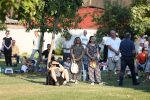 Fotogalerija: Uz nekoliko tisuća vjernika, u Voćinu je obilježen blagdan Gospe Voćinske 14 IMGL0459