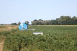 Radovi su završeni, dozvole su ishođene, Sustav navodnjavanja Kapinci – Vaška II. faza, koji obuhvaća općine Sopje i Suhopolje i prostire se na 568 hektara - je pušten u pogon 6 IMGL1313