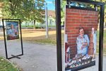 Foto 3 7