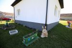 IMG 0977