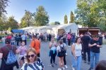 Fotogalerija: 15. Dani kestena i vina u Orahovici privukli mnoštvo u Središnji gradski park 15 IMG 150e2465cf08349cff82d709b9783f10 V