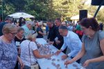 Fotogalerija: 15. Dani kestena i vina u Orahovici privukli mnoštvo u Središnji gradski park 9 IMG 3a98680908bcb5a51e85d78767c67867 V