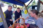 Fotogalerija: 15. Dani kestena i vina u Orahovici privukli mnoštvo u Središnji gradski park 3 IMG dd2e694a251886463232e80adccf854f V