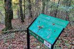 Privode se kraju radovi na poučnoj planinarskoj stazi koja će za 60 minuta spajati Slatinski Drenovac i Jankovac 3 20231102 122542