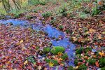 Privode se kraju radovi na poučnoj planinarskoj stazi koja će za 60 minuta spajati Slatinski Drenovac i Jankovac 4 20231102 122643