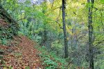 Privode se kraju radovi na poučnoj planinarskoj stazi koja će za 60 minuta spajati Slatinski Drenovac i Jankovac 6 20231102 122942