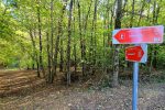 Privode se kraju radovi na poučnoj planinarskoj stazi koja će za 60 minuta spajati Slatinski Drenovac i Jankovac 8 20231102 124512