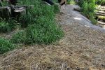 U „Dravskoj priči“ je baby boom, petero roda je ugledalo svjetlo dana, na čekanju je još njih devetnaest 2 20240429 120318
