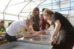 IMG 6223