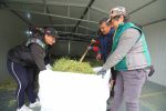 IMG 8146 1500x1000