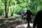 Poucna pjesacka staza Drenovac Jankovac 12