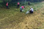 Provedba projektnih aktivnosti projekta Ružičaste zloćke 10 34 1