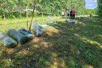 Provedba projektnih aktivnosti projekta Ružičaste zloćke 11 34 3