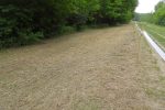 Provedba projektnih aktivnosti projekta Ružičaste zloćke 13 36