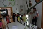 DSC00901
