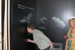 IMG 1174