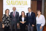 Slavonija u Sloveniji