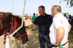 Proslava Dana općine Čađavica nastavljena 17. međužupanijskom izložbom hladnokrvnih konja i zaprega, defileom motorista i lovnim streljaštvom 3 m IMG 3812