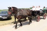 Proslava Dana općine Čađavica nastavljena 17. međužupanijskom izložbom hladnokrvnih konja i zaprega, defileom motorista i lovnim streljaštvom 16 m IMG 3860