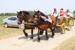 Proslava Dana općine Čađavica nastavljena 17. međužupanijskom izložbom hladnokrvnih konja i zaprega, defileom motorista i lovnim streljaštvom 18 m IMG 3863